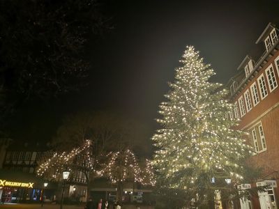 Hannover: Heritage and Tales Audio Tour