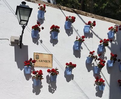 Marbella: Enchanting Paths Audio Tour