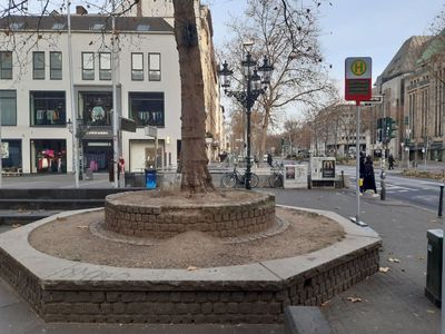 Dusseldorf: Cultural Highlights Audio Tour