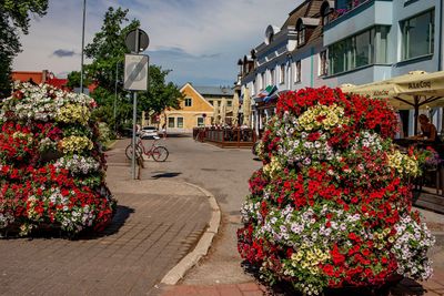 Parnu: Historical Journey Audio Tour