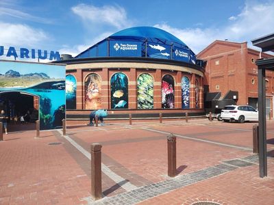 Cape Town: V&A Waterfront Heritage Audio Tour