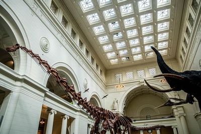 Chicago: Field Museum of Natural History Audio Tour - photo 4