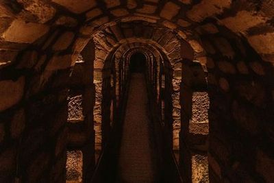 Catacombes de Paris In-App Visite: Explorez un Royaume Souterrain - photo 3
