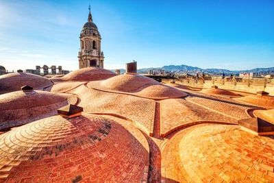 Málaga Cathedral: Audio-Tour of the Iconic Landmark with Rooftop Access - photo 3