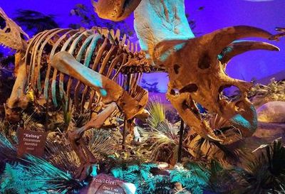 Indianapolis: The Children's Museum Audio Tour - photo 3