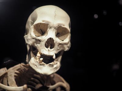 Berlin: BODY WORLDS Ticket - photo 4