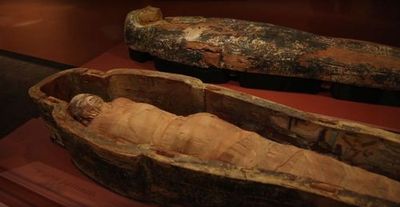 Denver: Nature & Science Audio Exploration - photo 3