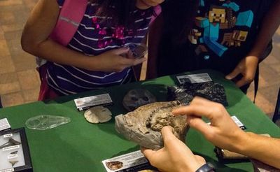 Denver: Museum of Nature & Science Ticket - photo 4