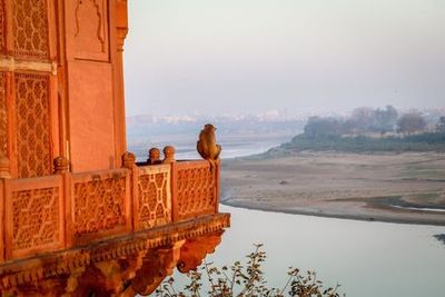 Agra: Taj Mahal Audio Tour - photo 3