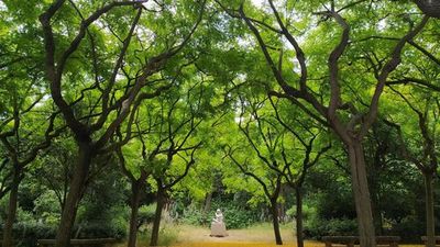 Barcelona: Montjuic Entry & Cable Car Audio Tour - photo 3