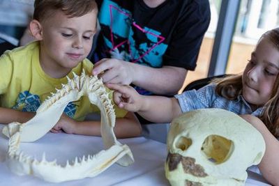 Аквариум Рипли Миртл-Бич: Входной билет - photo 4