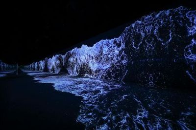 Музей Арте в Лас-Вегасе: Входной билет - photo 4