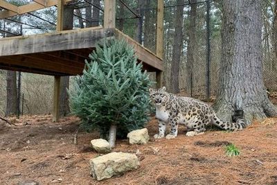 Хороший зоопарк Оглебэй: Входной билет - photo 3