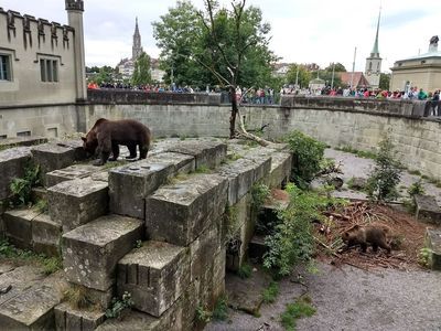 Bern: Self-Guided Audio Walk Through the Old City and Bear Park - photo 4