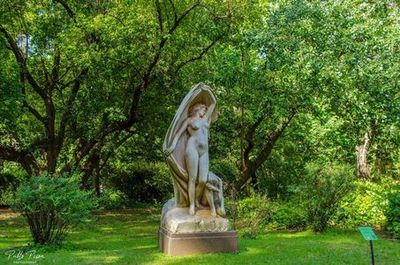 Buenos Aires: Carlos Thays Botanical Garden Audio Tour - photo 4