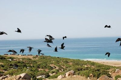 Parco Natura Viva: Open Date Ticket - photo 4