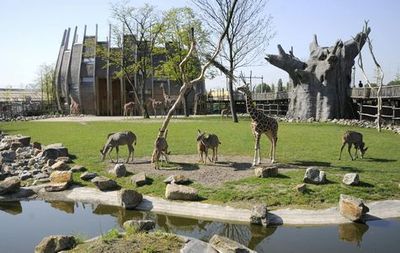 Rotterdam Zoo: Skip The Line Ticket - photo 4