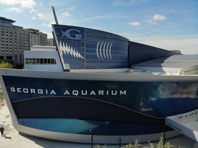 Georgia Aquarium: Skip The Line Ticket - photo 4