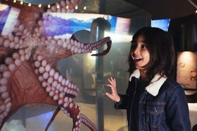 Vancouver Aquarium: Entry Ticket - photo 3