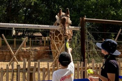 Zoo Atlanta: Entry Ticket - photo 3