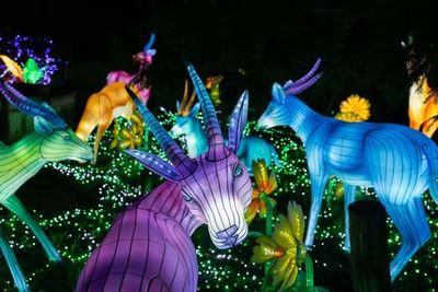 Amnéville Zoo: Fast Track Ticket - photo 3