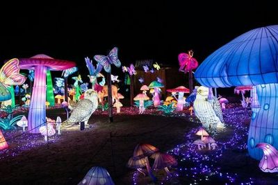 Amnéville Zoo: Fast Track Ticket - photo 4