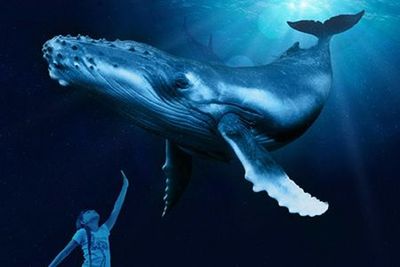 Palma Aquarium: Skip The Line Ticket - photo 3