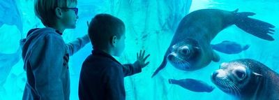 Gardaland SEA LIFE Aquarium: Entry Ticket - photo 3