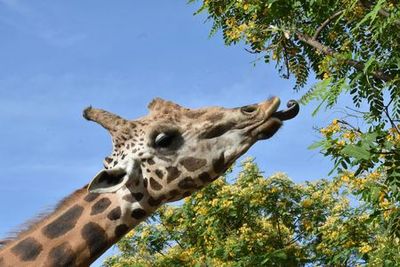 Terra Natura Murcia: Entry Ticket - photo 4