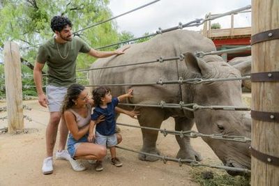 San Antonio Zoo Flexible Any-Day Entry Ticket - photo 4