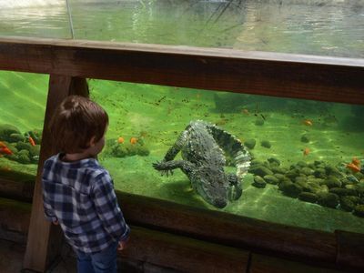 Terra Natura Benidorm: Entry Ticket - photo 4