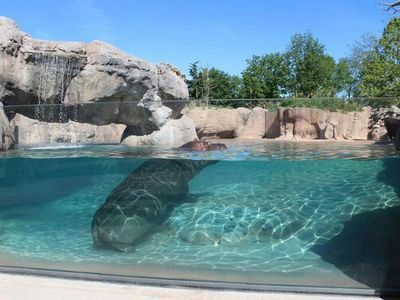 Zoom Torino: Entry Ticket - photo 3