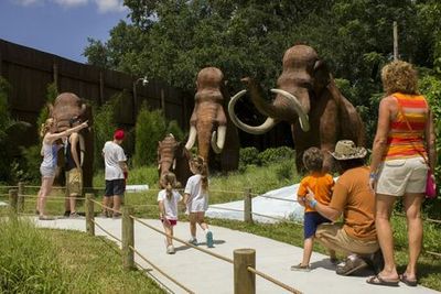 Dinosaur World Florida: Entry Ticket - photo 3