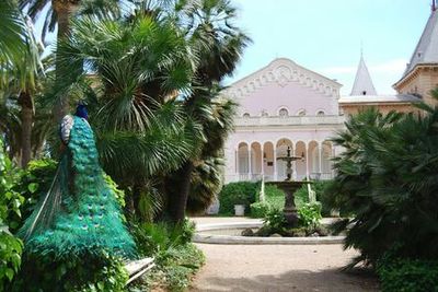 Parc Samà: Skip The Line Ticket - photo 4