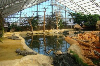 La Ferme aux Crocodiles: Entry Ticket - photo 3