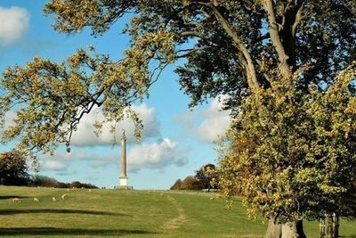 Blenheim Palace: Entry Ticket - photo 3