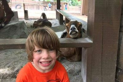 Nashville Zoo at Grassmere: Fast Track Ticket - photo 4