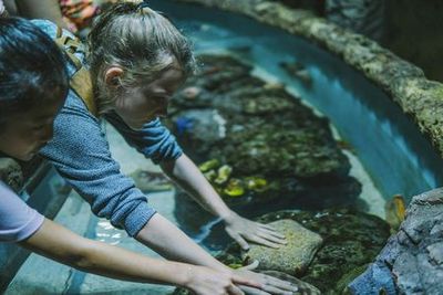 Cairns Aquarium: Entry Ticket - photo 3