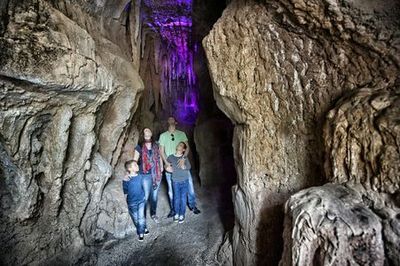 Jungle Park: Entry Ticket - photo 3