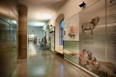 Textile Museum: Entry Ticket - photo 3