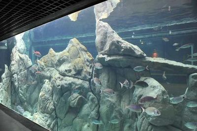 Acquario di Livorno: Entry Ticket - photo 3