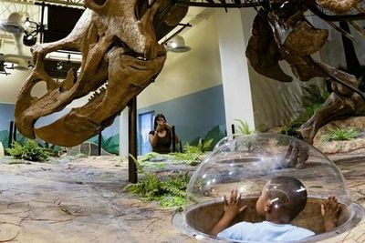 Glazer Children's Museum: Play All-Day Admission - photo 4