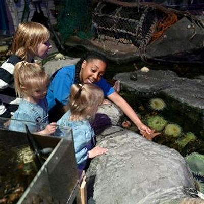 SEA LIFE Birmingham: Entry Ticket - photo 4