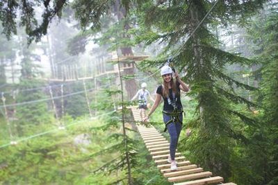 Grouse Mountain: Summer Admission Ticket - photo 4