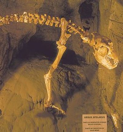 Toirano Caves: Fast Track Ticket - photo 3