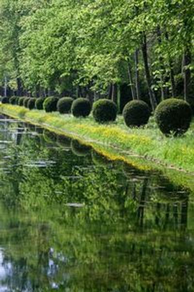 Château de Chantilly: Gardens Entry Only - photo 4