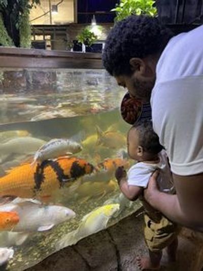 Austin Aquarium: Entry Ticket - photo 3