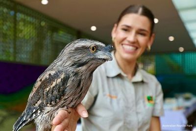 Australian Reptile Park: Entry Ticket - photo 4