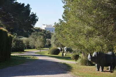 Museu Sa Bassa Blanca: Skip The Line Ticket - photo 3
