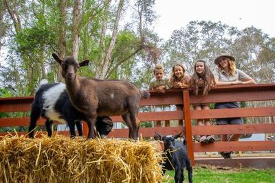 Currumbin Wildlife Sanctuary: Entry Ticket - photo 4